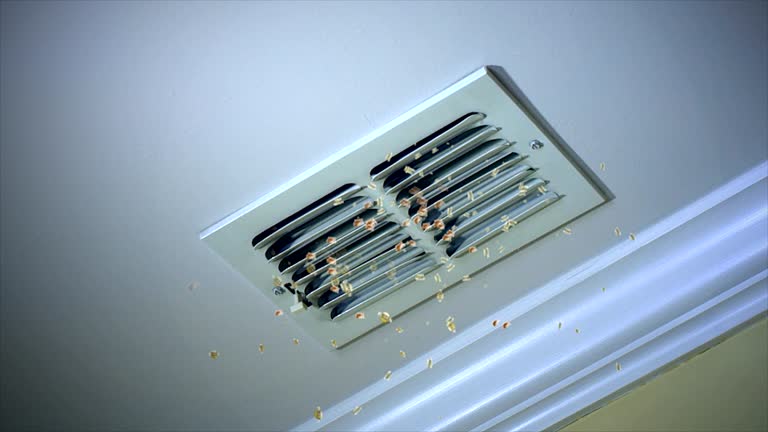 Best Local Air Duct Cleaning Services  in Columbus Grove, OH