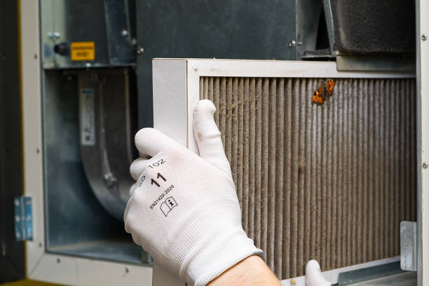 Best Air Vent Cleaning Services  in Columbus Grove, OH
