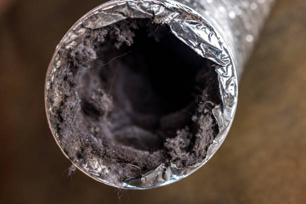 Best Ventilation Cleaning Services  in Columbus Grove, OH