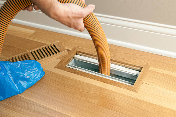 Best Dryer Vent Cleaning Services  in Columbus Grove, OH