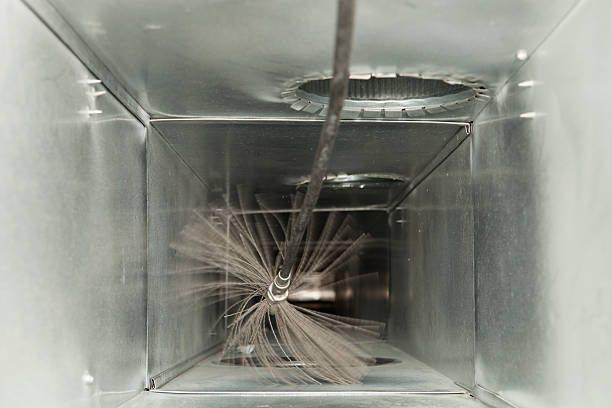 Best HVAC Air Duct Cleaning  in Columbus Grove, OH