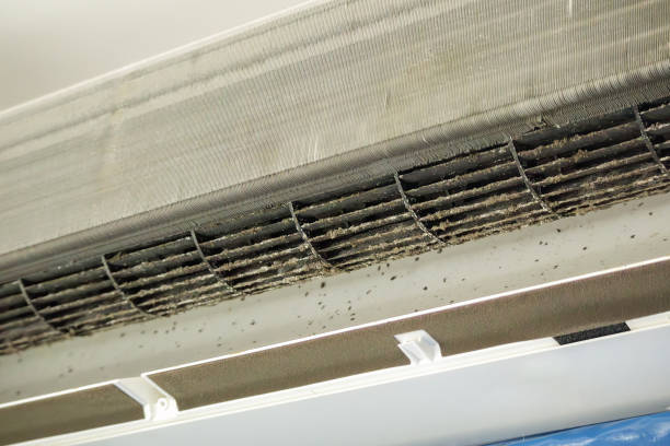 Best Air Duct Cleaning Near Me  in Columbus Grove, OH
