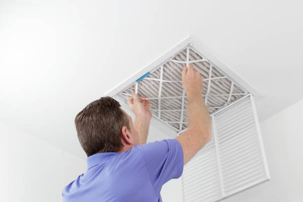 Best Residential Air Duct Cleaning  in Columbus Grove, OH